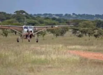 6 Days Safari Queen Elizabeth National Park - Bwindi Impenetrable National Park - Buhoma Tour