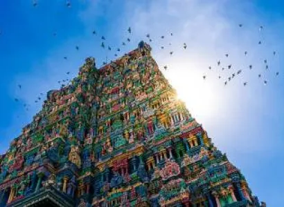9N 10D Kerala And Tamil Nadu Tour