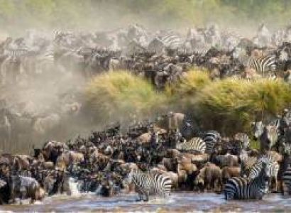 From Nairobi: 3-Day, 2-Night Maasai Mara Great Migration Safari