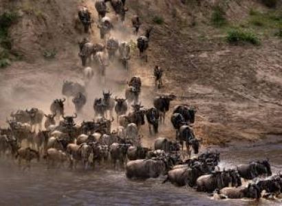 7 Days - 6 Nights Great Migration Expedition Tour
