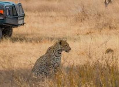 6 Days - 5 Nights A Signature Safari Experience Tour