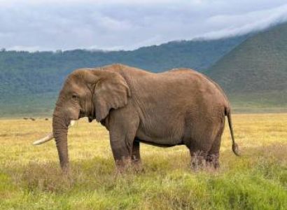 5 Days - 4 Nights Special Trip