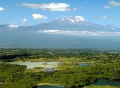 1 Day Arusha National Park Trip