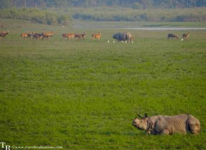 Kaziranga Safari 3N - 4D Tour Package