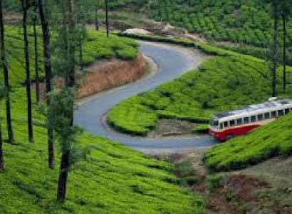 3N 4D Kerala Package Munnar - Vagamon