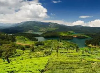Ooty 5D - 4N Tour Package