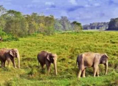 Kathmandu - Nepalgunj - Bardia National Park Tour