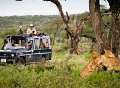 3N 4D Serengeti Tanzania Safaris Tour