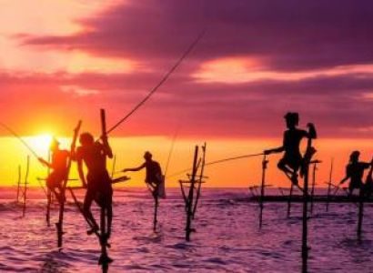 11 Days Discover - Thrill Sri Lanka Tour