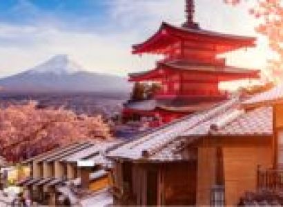 Cherry Blossom Japan 8 Days Tour