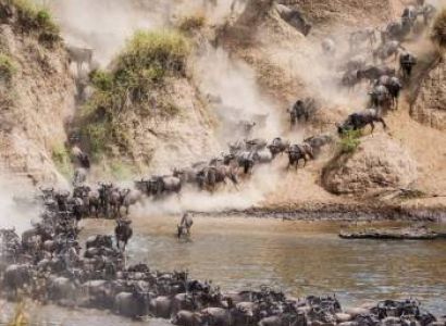 12 Days Mara River Great Migration Crossing And Zanzibar Tour