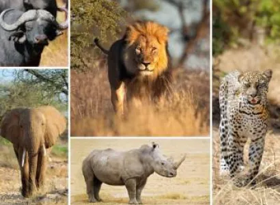 8 Days Of Zanzibar Safari Tour