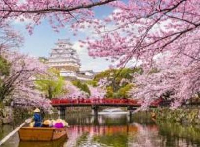 Cherry Blossom Festival 6 Nights 7 Days Tour