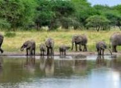 11 Days 10 Nights Ultimate Kilimanjaro & Safari Adventure