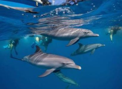 8 Days Zanzibar Complete Discovery Tour