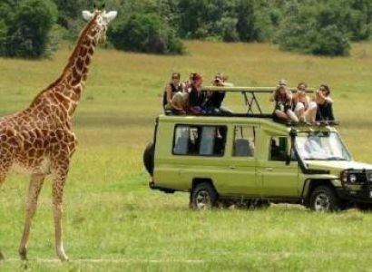 Arusha National Park Day Trip