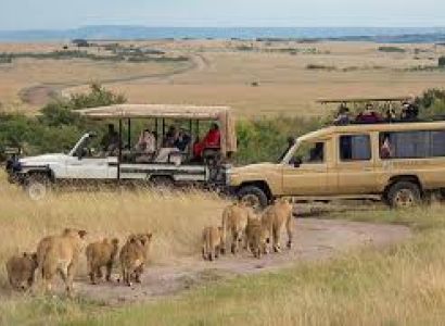5 Day Tanzania Safari
