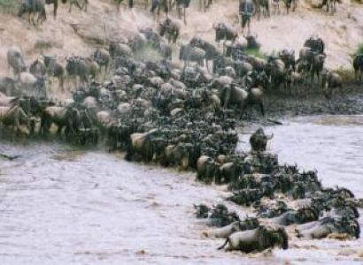 7 Days The Great Migration Safari In Tanzania Tour