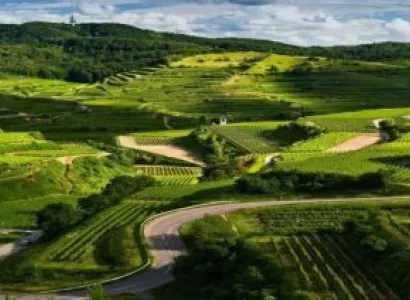 Mysore - Kabini River - Coorg 4 Nights 5 Days Tour