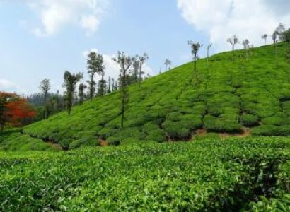 Coorg - Wayanad 4 Nights 5 Days Tour