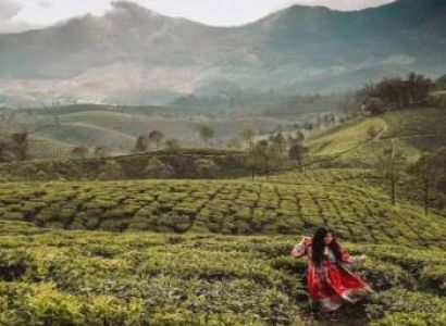 3 Days Munnar Tour Package