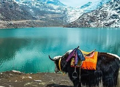 The Classic Manali Escape 3 Nights - 4 Days Tour