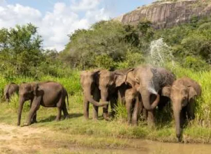 3-Day Amboseli National Park Safari - Land Cruiser Tour