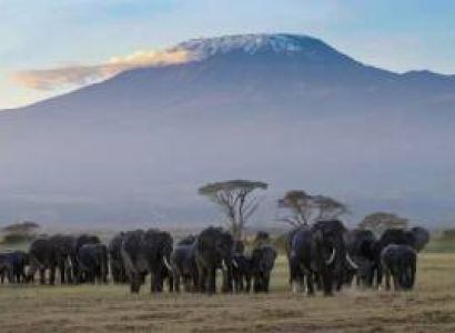 3 Day Private Game Drive In Amboseli National Park Tour
