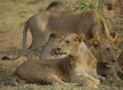 9 Days - 8 Nights Tanzania Wildlife Safaris - Cultural Tour