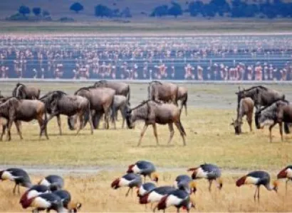 6-Day Great Migration Experience At Mara River Crossing Safari Tour