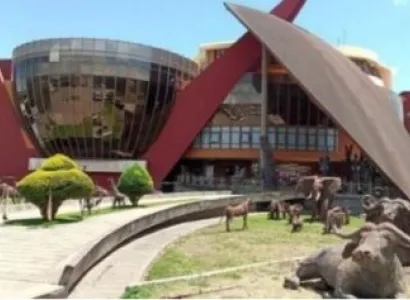 5-Day Adventure In Tarangire - Ngorongoro - Manyara Safari Tour