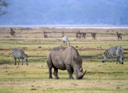5D Explore Tarangire - Manyara - Serengeti - Ngorongoro Safari Tour