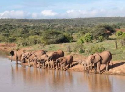 4-Day 4x4 Jeep Mara - Nakuru Flamingo Package Safari