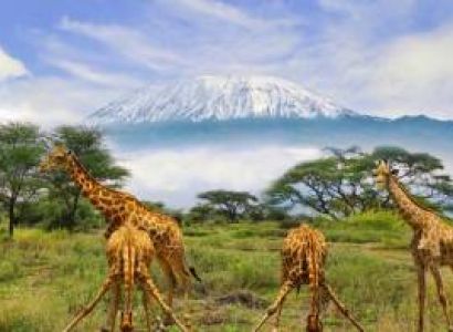 Discover The Wonders Of Tsavo East - Tsavo West And Amboseli A 4-Day Safari Adventure