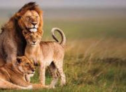 Experience The Thrills Of Tsavo East - A Two-Day Safari Adventure