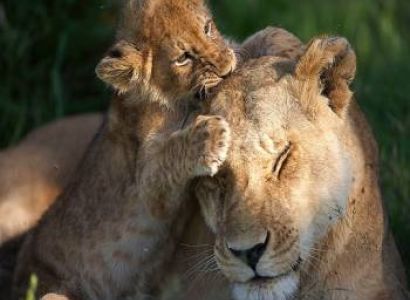 3 days 2 nights to Masai Mara Tour Package