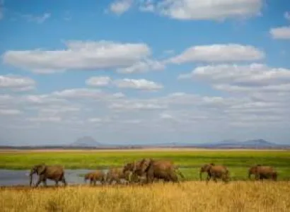 5 Days 4 Nights Classic Safari in Tanzania