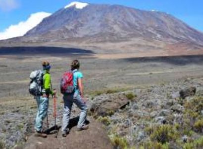 1day Kilimanjaro via Shira plateau