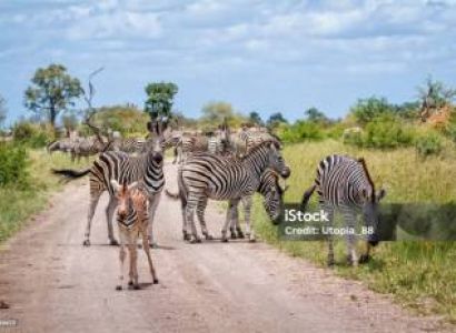 2night 3days Serengeti and Ngoro Ngoro Crater