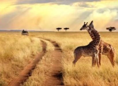 5 Days Kerala Budget Tour - Nairobi & Masai Mara & Nakuru