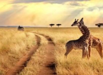 7 Days Kerala Budget Tour - Masai Mara & Nakuru & Eldoret