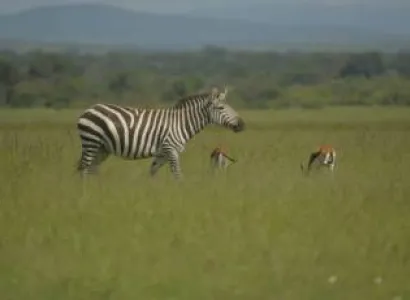 8 Days Kenya Big Five Special