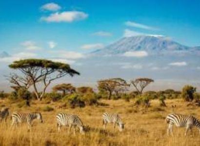 18 Days Kenya Lots And Lots Of Safari - Beach Tour