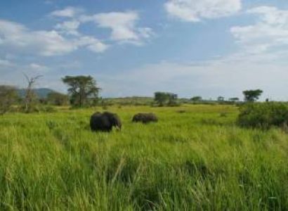 16 Days Safari - All Pearls Of Uganda Tour