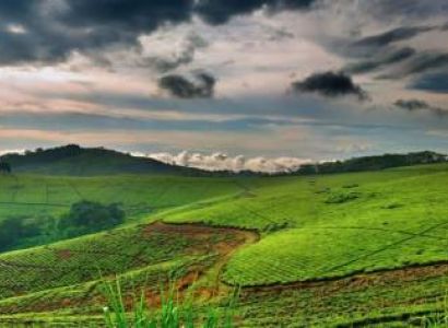 11 Days Uganda - Discovering The Culture Tour