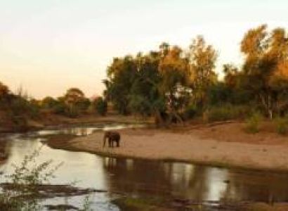 5 Days South Africa - Kruger Adventures Tour