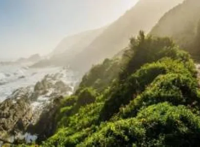 12 Days South Africa - Garden Route Plus Addo Elephants Tour