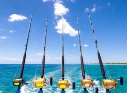 Deep Sea Fishing - 22 Ft Boat - Half Day Tour