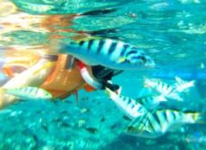 Snorkelling At Kisite Marine Park Tour