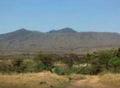 Walking Safari Around Lake Naivasha Tour